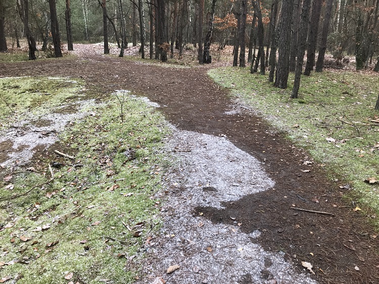 pierwszy śnieg w mazowiecki park krajobrazowy, listopad 2022