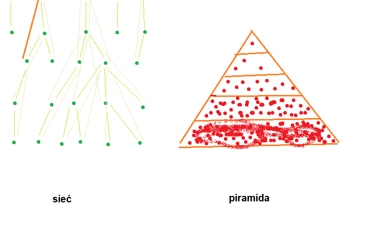 mlm piramida sieć
