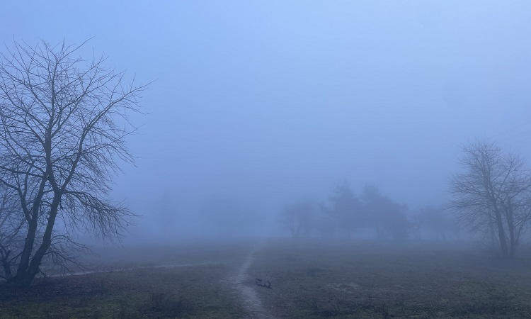 osobiste podsumowanie roku na blogu Pani Strzelec