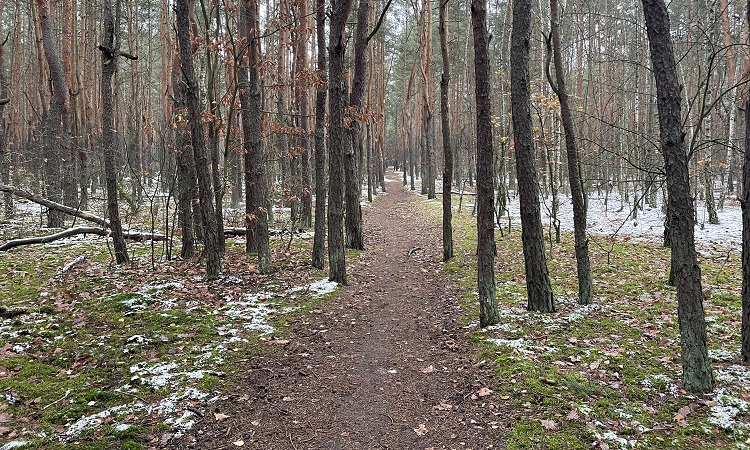 osobiste podsumowanie roku na blogu Pani Strzelec